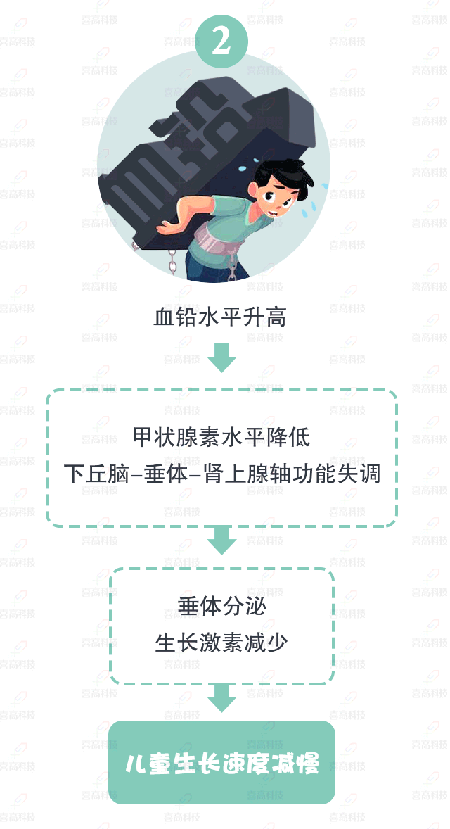 大“鉛”世界，別讓它阻礙了孩子的身高_(dá)09.gif