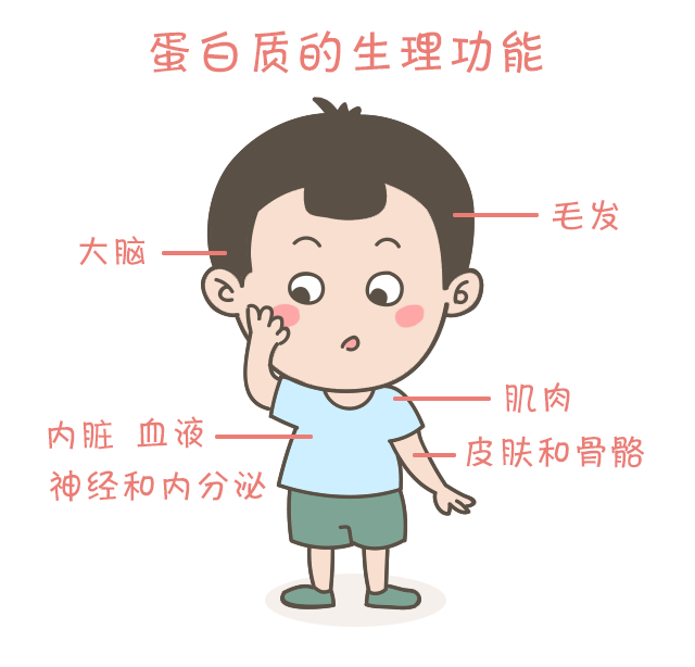 蛋白質(zhì)，為孩子長(zhǎng)高添動(dòng)力！_03.gif