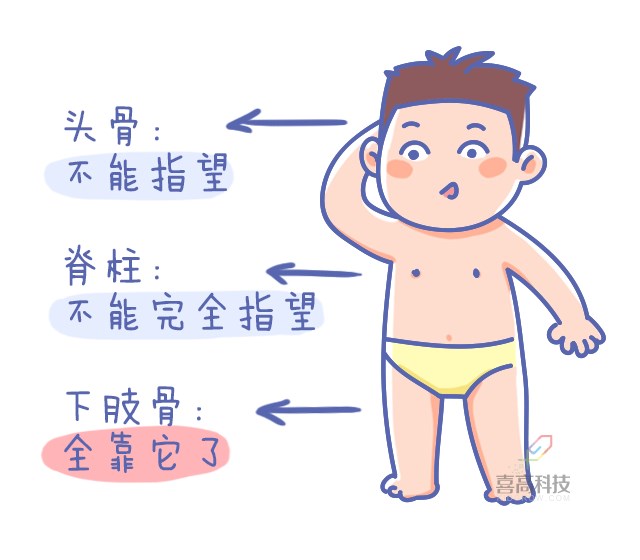 重啟骨骺線~你看起來很誘人！_08.png
