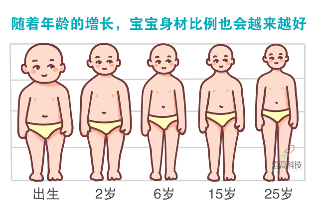 寶寶身長腿短，長大會是矮個子嗎？_02.gif
