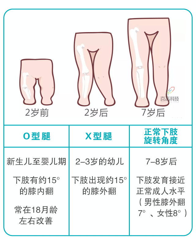 寶寶身長腿短，長大會是矮個子嗎？_03.gif