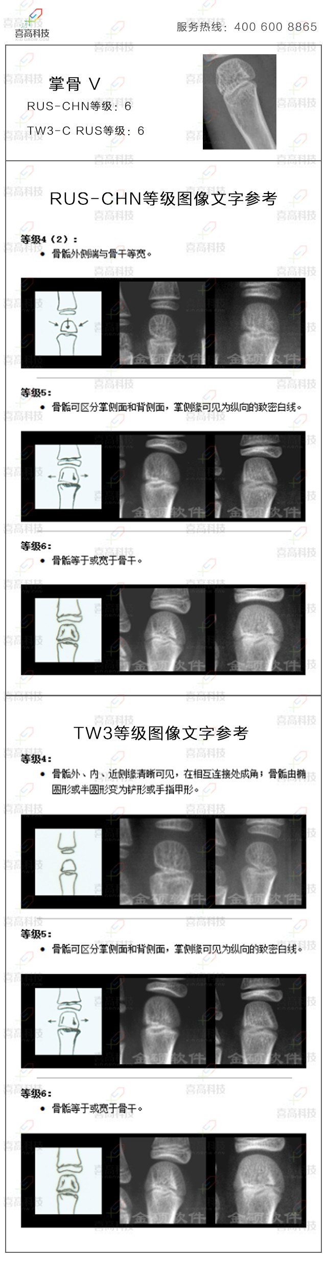 16-zhangwu.jpg