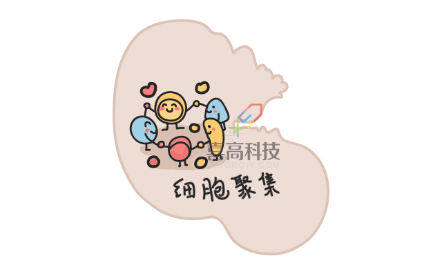 11.22看完大樓建造過(guò)程，就知道孩子是怎么長(zhǎng)高的-_02.gif