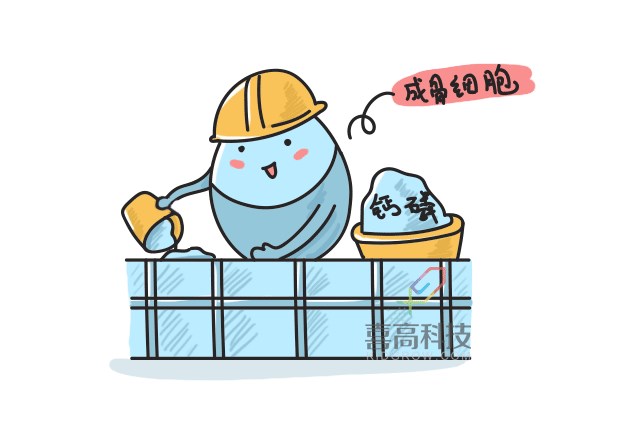 11.22看完大樓建造過(guò)程，就知道孩子是怎么長(zhǎng)高的-_06.png