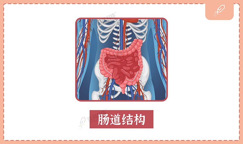 1_畫(huà)板 1 副本.jpg