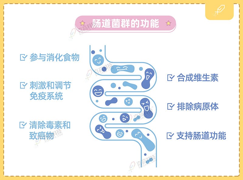 1_畫(huà)板 1 副本 2.jpg