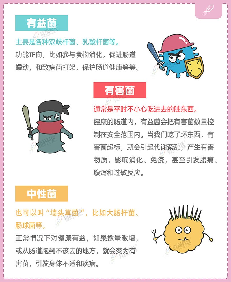 1_畫(huà)板 1 副本 3.jpg